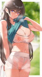Rule 34 | 1girl, absurdres, arm behind back, blue shirt, blurry, blurry background, blush, breasts, brown hair, censored, cleavage, clothes lift, commission, cowboy shot, depth of field, hell2 (ses0297), highres, holding, large breasts, lifting own clothes, long hair, mosaic censoring, navel, nipples, original, parted lips, purple eyes, pussy, see-through, see-through sports bra, shirt, shirt lift, shorts, skindentation, sleeveless, sleeveless shirt, smile, solo, sports bra, steaming body, stomach, towel, wet, wet clothes, wet shorts, white shorts