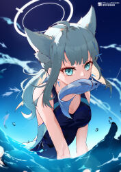 Rule 34 | 1girl, absurdres, animal ear fluff, animal ears, blue archive, blue eyes, blue sky, commentary request, competition school swimsuit, cross, cross earrings, cross hair ornament, earrings, extra ears, fish, grey hair, hair between eyes, hair ornament, halo, head tilt, highres, horizon, jewelry, liwendala, looking at viewer, low ponytail, medium hair, mismatched pupils, mouth hold, ocean, official alternate costume, official alternate hairstyle, school swimsuit, shiroko (blue archive), shiroko (swimsuit) (blue archive), sidelocks, sky, sleeveless, solo, swimsuit, v arms, wolf ears, wolf girl