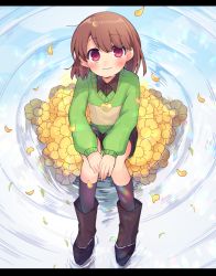 Rule 34 | 1other, black shorts, blush stickers, boots, brown footwear, brown hair, brown legwear, brown shirt, chara (undertale), closed mouth, collared shirt, falling leaves, flower, from above, green sweater, head tilt, heart, heart necklace, jewelry, knees together feet apart, leaf, letterboxed, long sleeves, looking at viewer, looking up, necklace, on floor, on flower, own hands together, red eyes, shirt, short hair, shorts, sitting, smile, striped clothes, striped sweater, sweater, undertale, water, xox xxxxxx, yellow flower