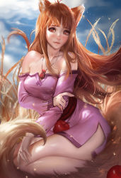 Rule 34 | 1girl, animal ears, apple, bare shoulders, blue sky, blush, breasts, brown eyes, brown hair, food, fruit, highres, holo, long hair, looking at viewer, realistic, red eyes, sakimichan, sitting, sky, solo, spice and wolf, tail, wheat, wolf ears, wolf tail