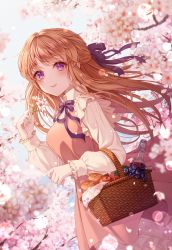 Rule 34 | 1girl, apple, basket, blush, bottle, bread, brown hair, cherry blossoms, closed mouth, commentary request, dress, dutch angle, flower, food, frills, fruit, glass bottle, grapes, hair ribbon, hand up, highres, holding, holding flower, iyar, long hair, long sleeves, looking at viewer, original, petals, pinafore dress, pink dress, pink flower, puffy long sleeves, puffy sleeves, purple eyes, purple ribbon, ribbon, sleeveless dress, smile, solo