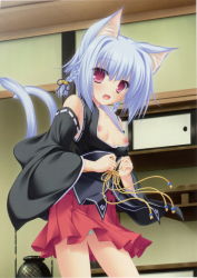 Rule 34 | 1girl, :d, :o, absurdres, animal ears, blue hair, blush, braid, breasts, breasts out, cat ears, cat tail, cowboy shot, detached sleeves, drawer, highres, indoors, japanese clothes, kimono, kimono skirt, kiryuu hina, looking at viewer, mikagami mamizu, multiple tails, neko koi!, nekomata, nipples, open mouth, panties, pantyshot, pink eyes, pleated skirt, red eyes, scan, shelf, silver hair, skirt, small breasts, smile, solo, source request, standing, surprised, tail, underwear, vase
