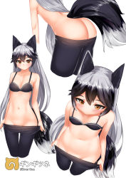 Rule 34 | 10s, 1girl, animal ears, ass, bare shoulders, black bra, black pantyhose, blush, bra, breasts, brown eyes, brown hair, character name, clothes pull, collarbone, cowfee, cropped legs, fox ears, fox tail, gradient hair, groin, hair between eyes, head out of frame, highres, japari symbol, kemono friends, leaning forward, light smile, long hair, looking at viewer, multicolored hair, multiple views, navel, no panties, pantyhose, pantyhose pull, silver fox (kemono friends), silver hair, simple background, small breasts, stomach, tail, thigh gap, two-tone hair, underwear, undressing, very long hair, white background