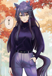 Rule 34 | 1girl, alternate costume, animal ears, autumn leaves, bandaid, bandaid on face, bandaid on nose, belt, black belt, black hair, breasts, commentary request, cowboy shot, ear ornament, hair between eyes, hand in pocket, highres, horse ears, horse girl, horse tail, jewelry, kudou (grass crown), long hair, long sleeves, looking at viewer, medium breasts, narita brian (umamusume), necklace, open mouth, outdoors, pants, purple pants, purple sweater, smile, solo, speech bubble, sweater, tail, translation request, tree, turtleneck, turtleneck sweater, umamusume, very long hair, yellow eyes