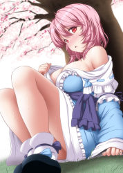 Rule 34 | 1girl, blush, breasts, cherry blossoms, commentary, frills, hair between eyes, highres, japanese clothes, kimono, large breasts, long sleeves, looking at viewer, medium hair, nori tamago, nose blush, off shoulder, pink hair, red eyes, saigyouji yuyuko, sitting, solo, sweat, touhou, tree, wide sleeves
