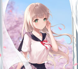 1girl black_skirt blunt_bangs breasts cherry_blossoms curtains green_eyes hair_between_eyes heeri highres long_hair looking_at_viewer midriff_peek original petals school_uniform serafuku silver_hair skirt smile solo wind window