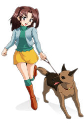 Rule 34 | 1girl, boots, brown eyes, brown hair, collar, dog, leash, leg up, looking back, looking down, open mouth, panties, pantyshot, pet walking, pinky out, running, ryumage, simple background, skirt, smile, thighhighs, tongue, tongue out, two side up, underwear, upskirt, white background