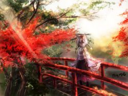 Rule 34 | 1girl, animal ears, autumn leaves, bad id, bad pixiv id, bare shoulders, bridge, dappled sunlight, detached sleeves, hat, highres, inubashiri momiji, leaf, light rays, looking at viewer, nature, pom pom (clothes), red eyes, short hair, silver hair, solo, sunbeam, sunlight, tail, thkani, tokin hat, touhou, tree, wolf ears, wolf tail