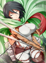 Rule 34 | 1girl, bayeuxman, black eyes, black hair, brown jacket, cape, closed mouth, green cape, highres, holding, holding sword, holding weapon, jacket, mikasa ackerman, red scarf, scarf, shingeki no kyojin, short hair, solo, sword, three-dimensional maneuver gear, weapon