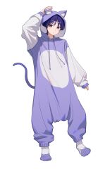Rule 34 | 1boy, absurdres, animal hood, cat hood, cat tail, chabi009, closed mouth, full body, genshin impact, hair between eyes, highres, hood, hoodie, long sleeves, male focus, purple eyes, purple hair, purple hoodie, scaramouche (genshin impact), short hair, solo, tail, white background