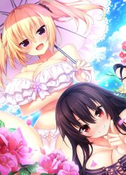Rule 34 | 10s, 2girls, :d, animal, bare arms, bare legs, bare shoulders, bikini, bird, black hair, blonde hair, blue sky, blush, bow, bow bikini, breast hold, breasts, brown eyes, cleavage, cloud, cloudy sky, collarbone, day, flower, flying, frilled bikini, frills, front-tie bikini top, front-tie top, hair between eyes, highres, holding, holding umbrella, horizon, jewelry, kuroki michi, large breasts, leaf, leg up, long hair, looking at viewer, lying, midriff, multiple girls, navel, necklace, nora to oujo to noraneko heart, ocean, on stomach, oozora itsuki, open mouth, outdoors, parasol, patricia of end, petals, pink flower, purple bikini, purple eyes, seagull, short hair, sitting, sky, smile, stomach, strapless, strapless bikini, swimsuit, twintails, umbrella, water, white bikini, white bow, yellow flower