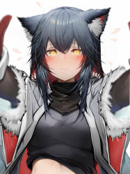 Rule 34 | 1girl, absurdres, animal ears, arknights, black hair, blush, closed mouth, highres, looking at viewer, red hair, simple background, solo, tab head, texas (arknights), upper body, white background, yellow eyes