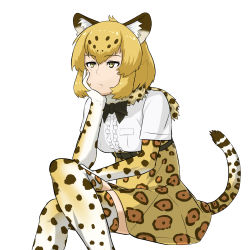 Rule 34 | 10s, 1girl, :/, animal ears, bad id, bad pixiv id, belt, black bow, blonde hair, bow, breasts, brown hair, center frills, closed mouth, crossed legs, elbow gloves, frills, fur collar, gloves, head rest, high-waist skirt, ichinose rokujou, jaguar (kemono friends), jaguar ears, jaguar print, jaguar tail, kemono friends, medium breasts, multicolored hair, shirt, short sleeves, simple background, skirt, solo, tail, thighhighs, two-tone hair, white background, white shirt, yellow eyes