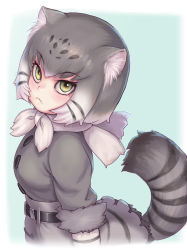 Rule 34 | 1girl, animal ear fluff, animal ears, bad id, bad twitter id, belt, cat ears, cat tail, commentary request, frown, fur-trimmed sleeves, fur trim, gradient hair, green eyes, grey hair, grey shirt, highres, kemono friends, kosai takayuki, looking at viewer, multicolored hair, pallas&#039;s cat (kemono friends), shirt, simple background, skirt, solo, tail, white hair
