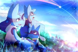 Rule 34 | blue sky, cityscape, creatures (company), from side, furry, game freak, gen 4 pokemon, grass, highres, kinozel, looking at another, looking up, lucario, nintendo, no humans, outdoors, pokemon, pokemon (creature), riolu, shooting star, sky, twilight