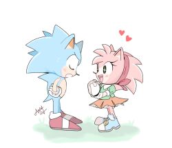 Rule 34 | 1boy, 1girl, amy rose, animal ears, artist request, blue fur, classic amy rose, closed eyes, furry, furry female, furry male, green shirt, heart, hedgehog, hedgehog boy, hedgehog ears, hedgehog girl, hedgehog tail, highres, orange skirt, pink fur, shirt, skirt, sonic (series), sonic the hedgehog, sonic the hedgehog (classic), sparkling eyes, tail