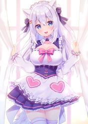 Rule 34 | 1girl, :d, animal ear fluff, animal ears, apron, blue eyes, blue skirt, blush, bow, breasts, cat ears, cleavage, collarbone, curtain grab, curtains, frilled apron, frills, hair between eyes, hair bow, hair ornament, large breasts, long hair, long sleeves, looking at viewer, maid, maid headdress, noripro, open mouth, pleated skirt, shirayuki mishiro, silver hair, skirt, smile, solo, sumisaki yuzuna, tail, thighhighs, transparent, very long hair, virtual youtuber, white apron, white thighhighs, window