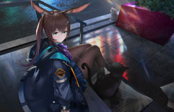Rule 34 | 1girl, amiya (arknights), animal, animal ears, arknights, ascot, black cat, black pantyhose, blue ascot, blue collar, blue eyes, blue jacket, blue skirt, cat, collar, commentary, hair between eyes, highres, hood, hood down, jacket, light blush, long hair, looking at viewer, looking to the side, maze (sherlock5230), newspaper, night, open clothes, open jacket, outdoors, pantyhose, plaid, plaid skirt, pleated skirt, ponytail, rabbit ears, reflection, rhodes island logo (arknights), sitting, skirt, solo, white cat