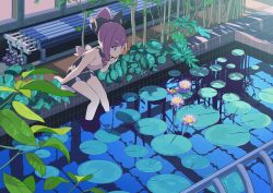 Rule 34 | 1girl, bent over, black bow, blunt bangs, bow, bug, butterfly, finger to mouth, flower, hair bow, highres, hip vent, horns, industrial pipe, insect, iwato1712, lily pad, original, plant, pointy ears, ponytail, pool, purple eyes, purple hair, reflection, short shorts, shorts, sitting, soaking feet, solo, tree, valve, wading
