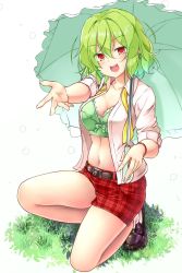Rule 34 | 1girl, :d, aka tawashi, ascot, belt, black footwear, blush, bow, bra, breasts, brown belt, cleavage, commentary request, earrings, grass, green bow, green bra, green hair, green umbrella, hair between eyes, head tilt, highres, holding, holding umbrella, jewelry, kazami yuuka, kneeling, large breasts, loafers, looking at viewer, midriff, navel, open clothes, open mouth, open shirt, plaid, plaid shorts, reaching, reaching towards viewer, red eyes, red shorts, shirt, shoes, short hair, short shorts, short sleeves, shorts, simple background, smile, socks, solo, stomach, thighs, touhou, umbrella, underwear, white background, white shirt, white socks, yellow ascot