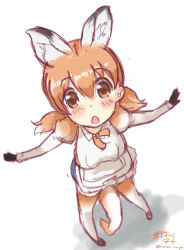 Rule 34 | 10s, 1girl, absurdres, apron, blush, denim, denim shorts, from above, gloves, highres, juliet sleeves, kangaroo ears, kangaroo tail, kemono friends, long sleeves, looking at viewer, manabe mana, multicolored hair, neck ribbon, open mouth, orange hair, outstretched arms, puffy sleeves, red kangaroo (kemono friends), ribbon, short hair, short shorts, shorts, signature, solo, thighhighs, twintails, twitter username, white hair