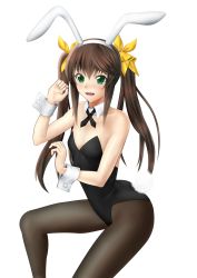 Rule 34 | 1girl, animal ears, black leotard, black pantyhose, black ribbon, brown hair, chair, commentary request, detached collar, fake animal ears, flat chest, green eyes, hair ribbon, highres, huang lingyin, infinite stratos, invisible chair, leotard, neck ribbon, pantyhose, playboy bunny, rabbit ears, rabbit girl, rabbit tail, ribbon, simple background, sitting, solo, strapless, strapless leotard, tail, twintails, white background, wrist cuffs, y y e cart mach, yellow ribbon