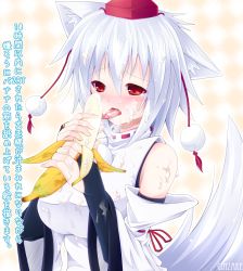 Rule 34 | 1girl, animal ears, banana, bare shoulders, blush, breasts, bridal gauntlets, detached sleeves, female focus, food, fruit, ginzake (mizuumi), hat, inubashiri momiji, large breasts, messy, red eyes, sexually suggestive, shake (sakana), short hair, silver hair, simple background, solo, tail, tokin hat, tongue, touhou, translation request, upper body, wolf ears, wolf tail