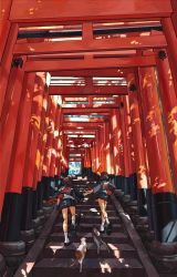 Rule 34 | 2girls, cat, cpieng, dappled sunlight, highres, holding hands, jacket, japan, loafers, multiple girls, original, pleated skirt, pointing, real world location, running, shoes, skirt, socks, stairs, sunlight, torii