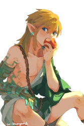 Rule 34 | 1boy, apple, biting, blonde hair, blue eyes, colored skin, commentary, dated commentary, earrings, eating, feet out of frame, food, fruit, green skin, hair between eyes, hand on own knee, highres, holding, holding food, holding fruit, hoop earrings, jewelry, knees up, link, looking at viewer, male focus, medium hair, multicolored skin, nintendo, pointy ears, shuangsen, sidelocks, simple background, sitting, solo, the legend of zelda, the legend of zelda: breath of the wild, the legend of zelda: tears of the kingdom, toga, twitter username, two-tone skin, white background