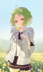 Rule 34 | 1girl, absurdres, ahoge, black shorts, blue sky, blush, buttons, collarbone, commentary, field, flat chest, flower, green hair, highres, holding, holding flower, jacket, light smile, looking at viewer, medium hair, mushoku tensei, open clothes, open jacket, outdoors, pointy ears, red eyes, shenqi de (9), shirt, shorts, sky, solo, sylphiette (mushoku tensei), white jacket, white shirt, wide sleeves, yellow flower
