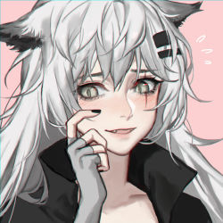 Rule 34 | 1girl, :d, animal ear fluff, animal ears, arknights, black jacket, black nails, blush, chinese commentary, commentary request, fangs, fingerless gloves, flying sweatdrops, gloves, grey eyes, grey gloves, hair between eyes, hair ornament, hairclip, hand up, jacket, lappland (arknights), long hair, nail polish, open mouth, partial commentary, pink background, portrait, scar, scar across eye, scar on face, silver hair, simple background, smile, solo, tantan (jieve629), wolf ears