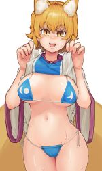 Rule 34 | 1girl, absurdres, animal ears, bikini, blonde hair, blue bikini, breasts, breasts apart, chanta (ayatakaoisii), clothes lift, cowboy shot, dress, dress lift, fox ears, fox tail, hands up, highres, large breasts, long sleeves, multiple tails, navel, no headwear, no headwear, open mouth, short hair, simple background, smile, solo, sweat, swimsuit, tabard, tail, touhou, white background, white dress, wide sleeves, yakumo ran