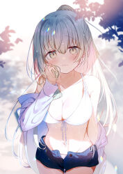 Rule 34 | 1girl, bare shoulders, bikini, bikini under clothes, blue shorts, blush, braid, breasts, cecilia (shiro seijo to kuro bokushi), cleavage, closed mouth, collarbone, commentary request, front-tie bikini top, front-tie top, green eyes, green hair, hair between eyes, hand up, jacket, kazutake hazano, long hair, long sleeves, looking at viewer, medium breasts, off shoulder, open clothes, open fly, open jacket, open shorts, ponytail, shiro seijo to kuro bokushi, short shorts, shorts, smile, solo, swimsuit, very long hair, white bikini, white jacket