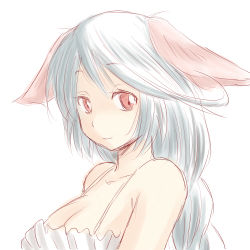 Rule 34 | 1girl, animal ears, ao usagi, bad id, bad pixiv id, commentary request, fictional persona, long hair, lowres, original, red eyes, shiro nezumi, simple background, sketch, solo, upper body, white hair