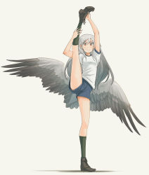 Rule 34 | 1girl, asterisk kome, bird wings, black footwear, black socks, blue shirt, closed mouth, commentary, full body, grey hair, grey wings, gym shirt, gym shorts, gym uniform, highres, leg hold, leg up, long hair, looking at viewer, low wings, red eyes, shirt, shoes, short shorts, short sleeves, shorts, simple background, smile, socks, solo, split, standing, standing on one leg, standing split, white background, winged fusiliers, wings