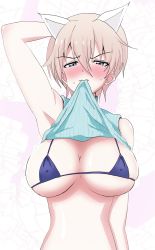 Rule 34 | 1girl, absurdres, animal ears, arm behind head, armpits, arms up, bad id, bad twitter id, bare shoulders, bikini, blonde hair, blue bikini, blue eyes, blush, brave witches, breasts, cleavage, clothes in mouth, clothes lift, covered erect nipples, female focus, highres, large breasts, lifting own clothes, looking at viewer, micro bikini, mouth hold, nikka edvardine katajainen, rafale1008, shiny skin, shirt in mouth, shirt lift, short hair, simple background, solo, sweat, swimsuit, upper body, weasel ears, world witches series