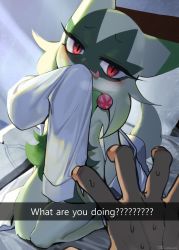 Rule 34 | 1boy, 1other, :p, absurdres, blush, creatures (company), english text, floragato, furry, furry female, game freak, highres, looking at viewer, naughty face, nintendo, pokemon, pokemon (creature), red eyes, shirt, sitting, snapchat, sweat, tongue, tongue out, wariza, white shirt, yuio58ok