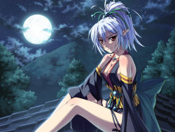 Rule 34 | 1girl, breasts, game cg, hime to majin to koi suru tamashii (game), long hair, moon, pointy ears, red eyes, roof, rooftop, solo, tree, white hair