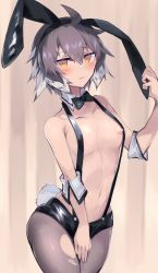 Rule 34 | 1girl, ahoge, animal ears, arknights, black bow, black bowtie, black headband, blush, bow, bowtie, breasts, brown background, brown hair, commentary request, detached collar, fake animal ears, hair between eyes, headband, highres, multicolored hair, navel, nipples, open mouth, orange eyes, pantyhose, plume (arknights), rabbit ears, rabbit tail, sasa onigiri, short hair, small breasts, solo, suspenders, tail, topless, torn clothes, torn pantyhose, tsurime, two-tone hair