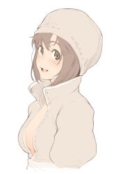 Rule 34 | 1girl, blush, breasts, brown eyes, brown hair, cleavage, fantasy earth zero, hat, highres, kamo (gafas), looking at viewer, open clothes, parted lips, smile, solo