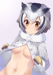 Rule 34 | 10s, 1girl, bad id, bad pixiv id, blush, bottomless, breasts, brown eyes, disembodied hand, dress, embarrassed, frown, fur collar, fur trim, gloves, gomashi (goma), gradient background, grey dress, head wings, highres, kemono friends, long sleeves, looking at viewer, looking down, medium breasts, multicolored hair, navel, no bra, northern white-faced owl (kemono friends), opened by self, short hair, solo, underboob, upper body, white hair, wings