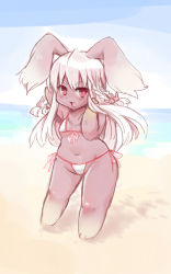 Rule 34 | artist request, rabbit, flat chest, furry, long hair, open mouth, red eyes, white hair