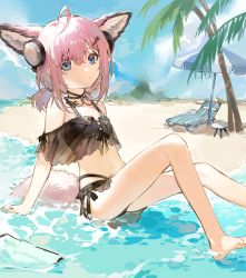Rule 34 | 1girl, absurdres, ahoge, animal ear fluff, animal ears, arknights, arm support, auuuie, bare legs, bare shoulders, barefoot, beach, beach umbrella, behind-the-head headphones, bikini, black bikini, blue eyes, chair, closed mouth, commentary, eyebrows hidden by hair, feet out of frame, fox ears, fox girl, fox tail, hair between eyes, hair ornament, hairclip, headphones, highres, knees up, long hair, lounge chair, low twintails, material growth, official alternate costume, oripathy lesion (arknights), palm tree, pink hair, sand, shallow water, sitting, solo, sussurro (arknights), swimsuit, tail, tree, twintails, umbrella, water