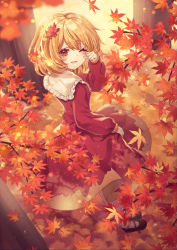 Rule 34 | 1girl, aki shizuha, arm up, autumn leaves, black footwear, blonde hair, bob cut, bobby socks, branch, brown shirt, brown skirt, buttons, closed mouth, collared shirt, curly hair, eyelashes, floral background, floral print, flower, full body, hair ornament, highres, kyouda suzuka, leaf, leaf hair ornament, leaf on head, light smile, loafers, long sleeves, looking at viewer, maple leaf, one eye closed, outdoors, petals, shirt, shoes, short hair, skirt, skirt hold, skirt set, socks, solo, swept bangs, touhou, tree, white socks, wide sleeves, yellow eyes