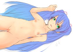 Rule 34 | 1girl, alternate hair color, bad id, bad pixiv id, blue hair, breasts, flat chest, green eyes, hatsune miku, highres, long hair, mkcrf, navel, nipples, nude, pussy, solo, transparent background, twintails, uncensored, very long hair, vocaloid