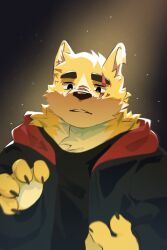 Rule 34 | black jacket, cooper krager, dog, furry, furry male, highres, jacket, light beam, light particles, male focus, ponshanchamu, remember the flowers, scar, scar across eye, scar on face, yellow fur