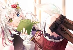 Rule 34 | animal, animal ear fluff, animal ears, bird, black capelet, blue eyes, blurry, blurry background, blush, book, boots, brown footwear, capelet, closed mouth, commentary request, cross-laced footwear, depth of field, fox ears, fox girl, fox tail, heterochromia, highres, holding, holding book, knee boots, knees up, lace-up boots, long hair, long sleeves, looking at viewer, lying, multicolored hair, on back, open book, original, pink hair, pleated skirt, red skirt, shirt, skirt, sleeves past wrists, smile, solo, tail, two-tone hair, virtual youtuber, watanai72, white hair, white shirt, yellow eyes