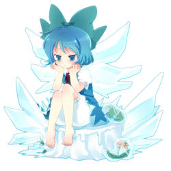Rule 34 | 1girl, barefoot, bloomers, blue eyes, blue hair, chaba (hortensia), cirno, dress, feet, female focus, flower, frog, ice, matching hair/eyes, plant, shoot the bullet, short hair, solo, touhou, underwear, white background, wings