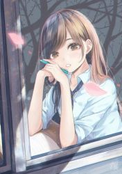 Rule 34 | 1girl, bare tree, blue necktie, blue shirt, blush, book, brown eyes, brown hair, collared shirt, commentary request, day, from outside, highres, holding, holding pen, looking outside, mitsuki yuu, necktie, open book, original, parted lips, pen, reflection, school uniform, shirt, short sleeves, signature, solo, sunlight, swept bangs, tree, upper body