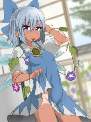 Rule 34 | 1girl, :p, arm up, blue dress, blue eyes, blue hair, blurry, blurry background, bow, cirno, clothes lift, collared shirt, cowboy shot, depth of field, dress, dress lift, dress shirt, emanon (ice), flower, groin, hair between eyes, hair bow, hand on own head, hand up, hidden star in four seasons, highres, ice, ice wings, leaf, lifting own clothes, looking at viewer, no panties, puffy short sleeves, puffy sleeves, shirt, short hair, short sleeves, skirt hold, smile, solo, standing, sunflower, sweat, tan, tanline, tanned cirno, tongue, tongue out, touhou, wing collar, wings
